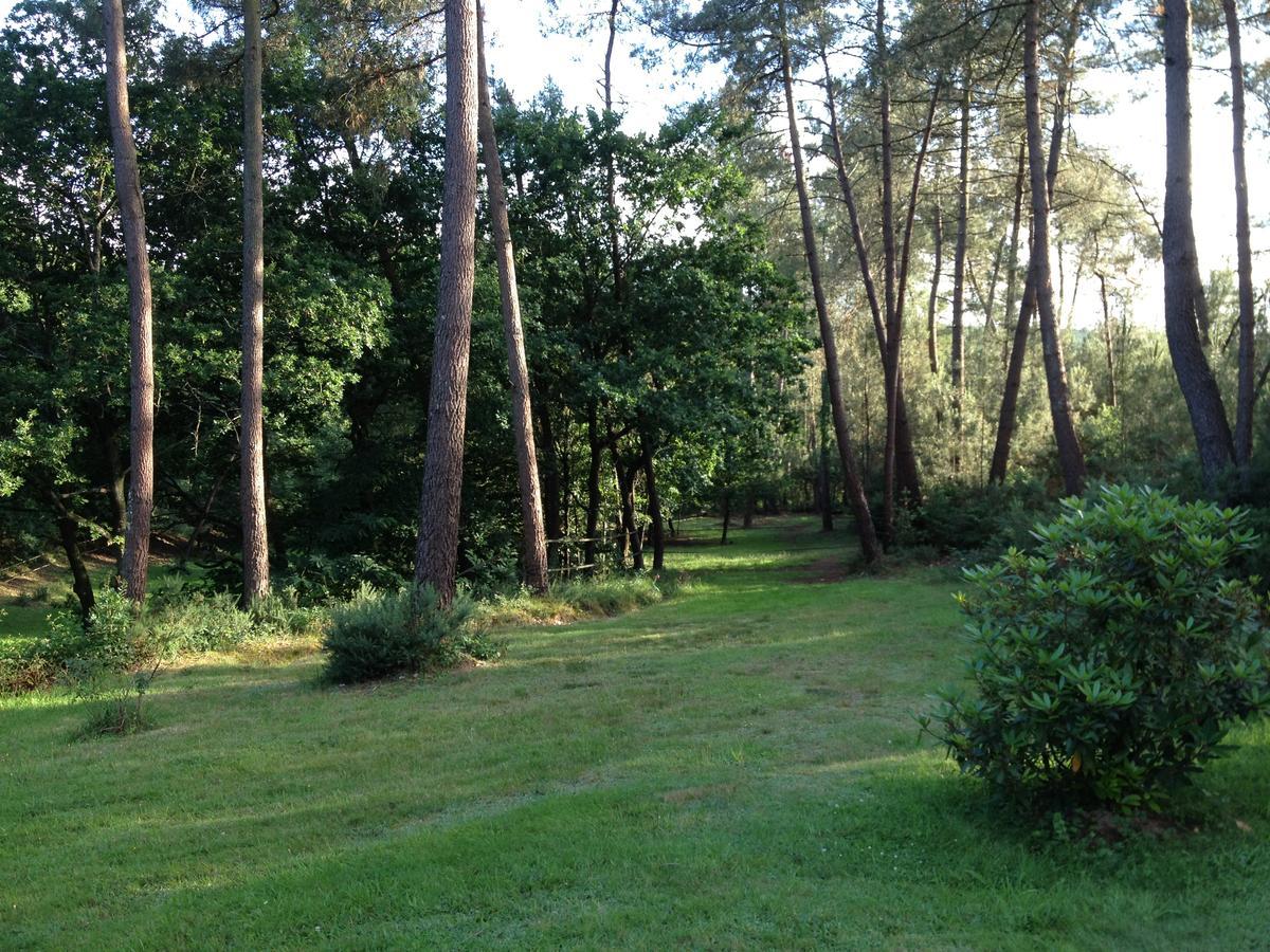 L'hippocampe Bed and Breakfast Sérent Esterno foto