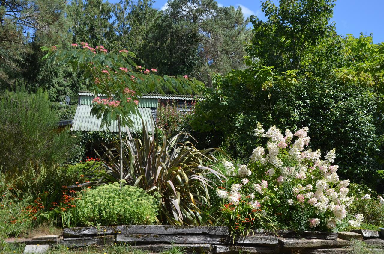 L'hippocampe Bed and Breakfast Sérent Esterno foto