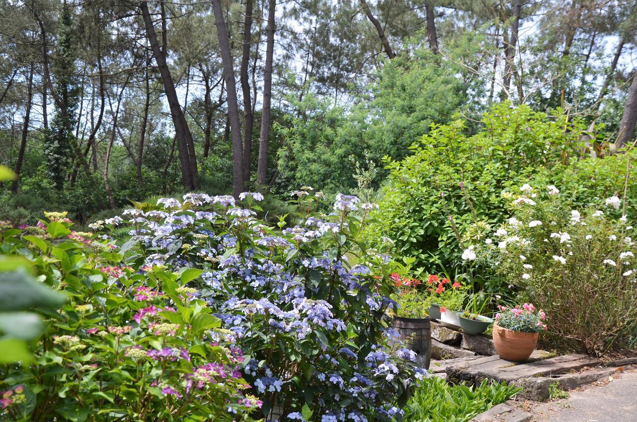 L'hippocampe Bed and Breakfast Sérent Esterno foto